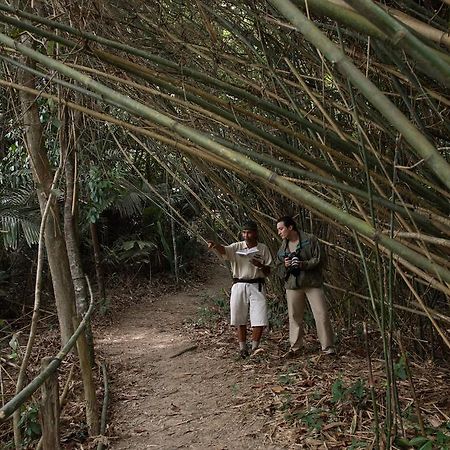 منتجع تانجونج جارا دونجون المظهر الخارجي الصورة Bamboo forest in the park